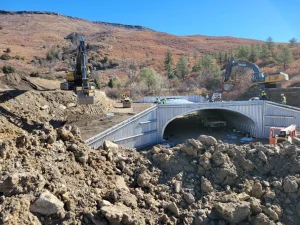 Wildlife crossing bridge beneath Interstate 25 designed to improve habitat connectivity.