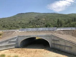 Wildlife corridor bridge supporting safe animal movement beneath a major highway.