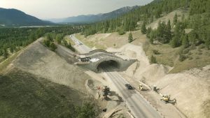 2026 Going Green Project of the Year Winner