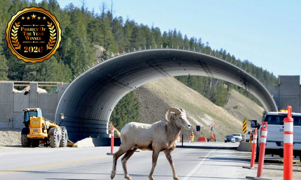 wildlife crossing overpass