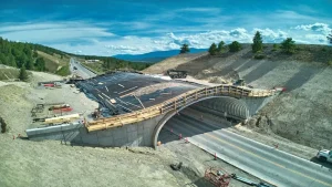 Picture1_resized wildlife crossing overpass